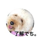 バニバニクータン 2（個別スタンプ：10）