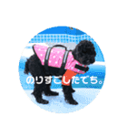 バニバニクータン 2（個別スタンプ：12）
