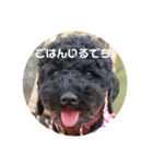 バニバニクータン 2（個別スタンプ：14）