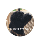 バニバニクータン 2（個別スタンプ：16）