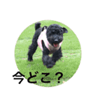 バニバニクータン 2（個別スタンプ：18）