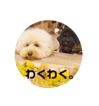 バニバニクータン 2（個別スタンプ：20）