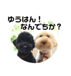 バニバニクータン 2（個別スタンプ：24）
