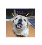 我が家の息子達！（個別スタンプ：5）