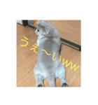 我が家の息子達！（個別スタンプ：7）