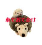 ライフとメルのゆるゆるスタンプ（個別スタンプ：10）