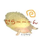 ライフとメルのゆるゆるスタンプ（個別スタンプ：12）