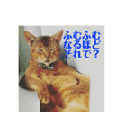 ライフとメルのゆるゆるスタンプ（個別スタンプ：13）