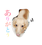 人見知りランちゃん（個別スタンプ：14）