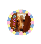 人見知りランちゃん（個別スタンプ：18）