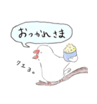 文鳥キブン ～日常編～（個別スタンプ：4）
