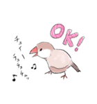文鳥キブン ～日常編～（個別スタンプ：7）