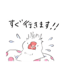文鳥キブン ～日常編～（個別スタンプ：11）