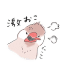 文鳥キブン ～日常編～（個別スタンプ：19）