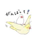 文鳥キブン ～日常編～（個別スタンプ：26）