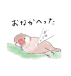 文鳥キブン ～日常編～（個別スタンプ：33）