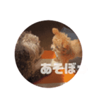 mugi522（個別スタンプ：7）