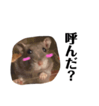 よしかわさんちのるいくんです。（個別スタンプ：16）