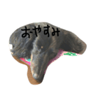 こはにょん日常（個別スタンプ：1）