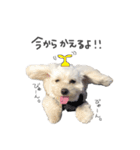 あんずさん。（個別スタンプ：6）