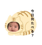 ぎょぴまる ファミリー☆（個別スタンプ：4）