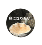 パリピー（個別スタンプ：5）
