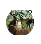 パリピー（個別スタンプ：7）