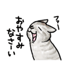 ネコ2匹とミュージシャンの生活（個別スタンプ：18）
