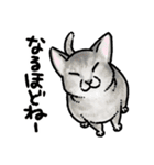 ネコ2匹とミュージシャンの生活（個別スタンプ：24）