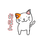 ねこたそ（個別スタンプ：1）