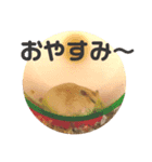 ハムスターきすけ（個別スタンプ：7）