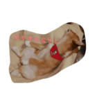 ネネとすだれ（個別スタンプ：1）