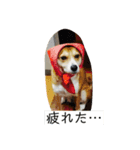 ネネとすだれ（個別スタンプ：4）