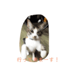 ネネとすだれ（個別スタンプ：5）
