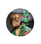 デカ猫クゥさんとワンコのアリちゃん（個別スタンプ：20）