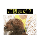 デカ猫クゥさんとワンコのアリちゃん（個別スタンプ：23）
