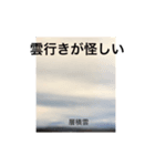 雲の感情表現（個別スタンプ：7）
