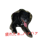 大畑マーキュリー♀（個別スタンプ：1）