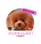 Meg's family 2（個別スタンプ：6）
