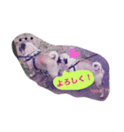 愛おしいわたしのパグちゃん♡（個別スタンプ：10）