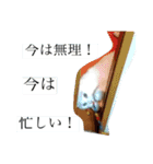 とのちゃんのスタンプ（個別スタンプ：10）