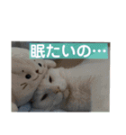 とのちゃんのスタンプ（個別スタンプ：11）