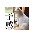 とのちゃんのスタンプ（個別スタンプ：14）