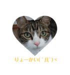 おかか（個別スタンプ：5）