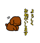 おしゃべりトイプードル（個別スタンプ：2）
