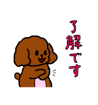 おしゃべりトイプードル（個別スタンプ：5）