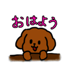 おしゃべりトイプードル（個別スタンプ：6）