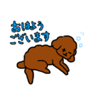 おしゃべりトイプードル（個別スタンプ：7）