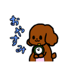 おしゃべりトイプードル（個別スタンプ：8）