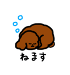 おしゃべりトイプードル（個別スタンプ：9）